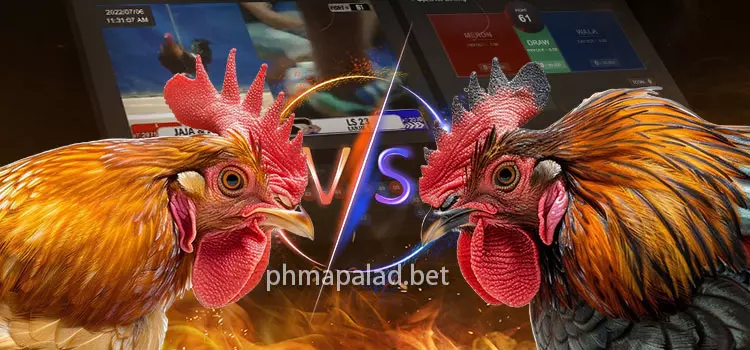 Sabong Real-Time Betting