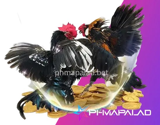 Sabong (Cockfighting)